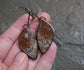 Sugar Maples — A Pair of Plume Opalized Petrified Wood Dangle Earrings in Oxidized Sterling Silver