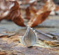 Silver Foliage 