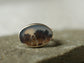 Morning Embrace — A Dendritic Agate Landscape Ring in Sterling Silver and Solid 14kt Gold — Size 5 3/4