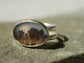 Morning Embrace — A Dendritic Agate Landscape Ring in Sterling Silver and Solid 14kt Gold — Size 5 3/4